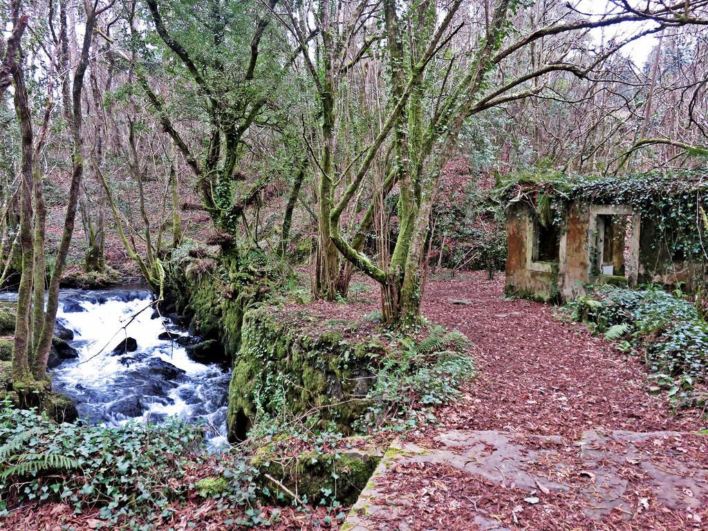 Casa Rural A Pasada Cedeira Kültér fotó